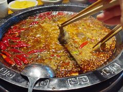-一斗火锅·招财羊毛肚(泰吉滨江店)