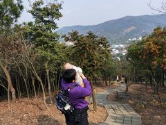 -香雪海