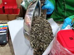 -张一元(总店)