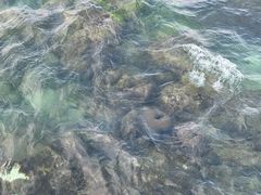 -三亚西岛海洋文化旅游区