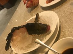 -Isla Sugbu Seafood City