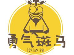 logo-勇气斑马·巴西柔术&跆拳道(浦东三林店)