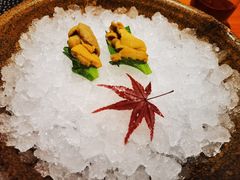 -月龍吟(朝龙汇店)