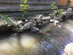 -普陀山风景名胜区-法雨禅寺