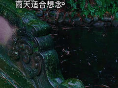 -望江楼公园