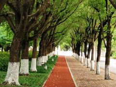 -上海交通大学(闵行校区)