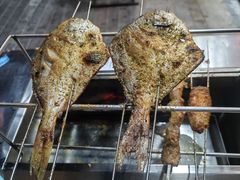 -古彭7只羊·招牌白串·碳锅羊肉旗舰店