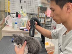 -钦宠·猫咪售卖·洗护·寄养(东圃旗舰店)