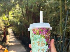 -红螺寺