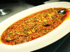 藿香翘壳-松云泽
