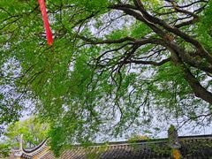 -巢湖姥山岛