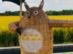 -嘉北郊野公园