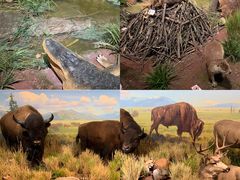 -陕西自然博物馆