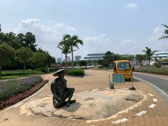 -野狸岛