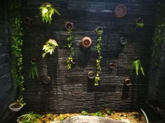 -一只烧鸡公(解放碑店)