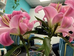 -斐尔国际皮肤管理中心