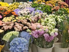 -双季花艺园艺市场(浦东店)