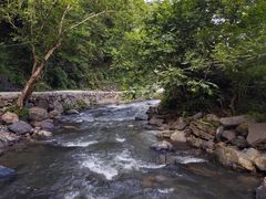 -石台牯牛降景区