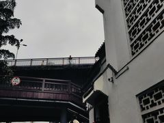 -泸州老窖景区