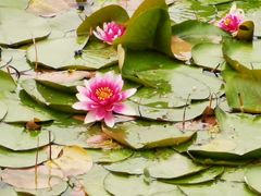 -长春市南湖公园