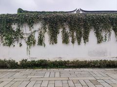 -青果巷历史文化街区