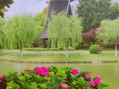 -上海鲜花港