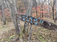 -龙道沟景区