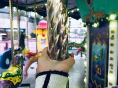 -大信·云顶星河游乐王国