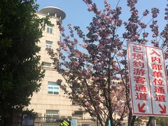 -嘉定紫藤园