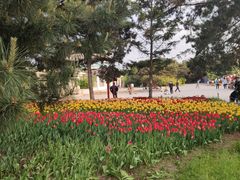 -北陵公园