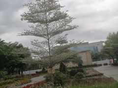 -映月湖公园