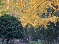 -成都南湖公园