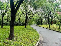 -吴淞炮台湾湿地森林公园烧烤区