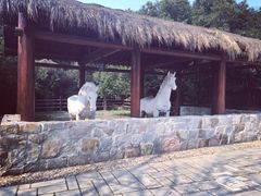 马厩-白马涧龙池景区