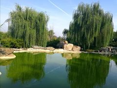 -鹦鹉寺公园