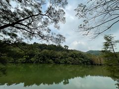 -广州市白云山风景名胜区