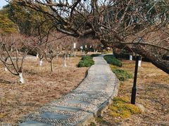 -白马涧龙池景区