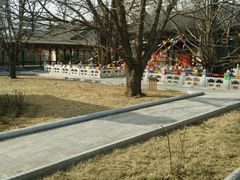 -紫竹院公园冰场