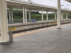 -谢小厨(沈家店)