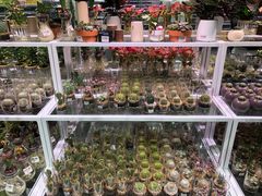 -KKV(深圳宏发大仟里店)