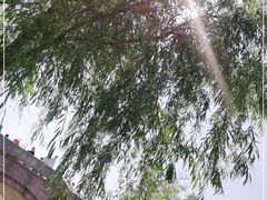 -召稼楼古镇