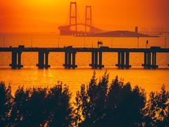 -宝安西湾红树林湿地公园