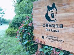 -上海崇明金茂凯悦酒店