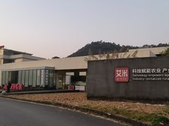 -艾米稻香小镇