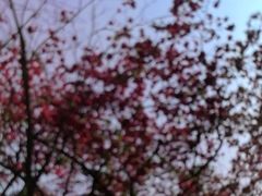 -东风公园