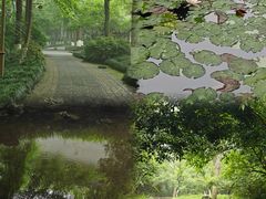 -杭州植物园