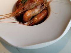 熟醉虾-荷塘秋月·本帮江浙菜(国权路店)