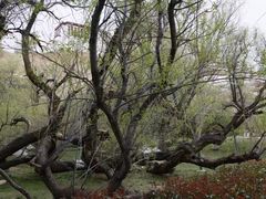 -宗角禄康公园