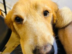 -萌喵咖啡屋(人民东路4号口M16商铺店)