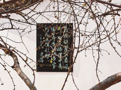 -桃花堤公园